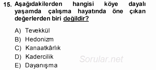 Çalışma Sosyolojisi 2013 - 2014 Dönem Sonu Sınavı 15.Soru