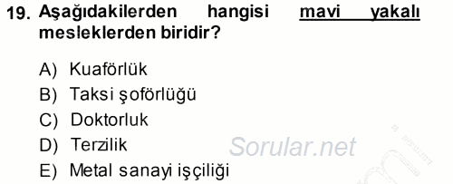 Çalışma Sosyolojisi 2013 - 2014 Dönem Sonu Sınavı 19.Soru