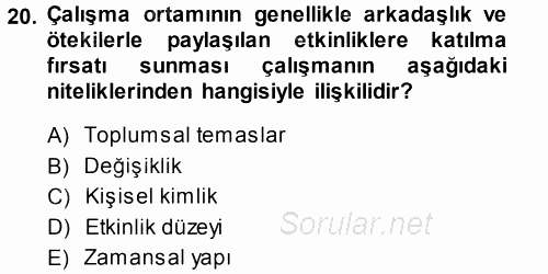 Çalışma Sosyolojisi 2013 - 2014 Dönem Sonu Sınavı 20.Soru