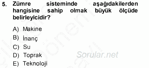 Çalışma Sosyolojisi 2013 - 2014 Dönem Sonu Sınavı 5.Soru