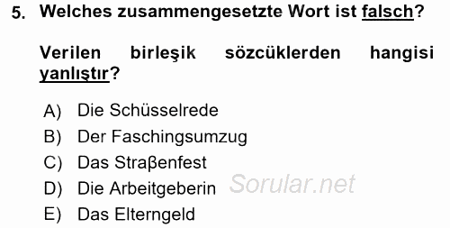 Almanca 2 2016 - 2017 Dönem Sonu Sınavı 5.Soru