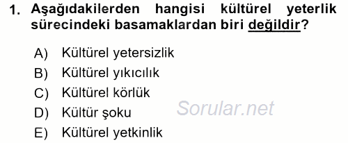 Küreselleşme ve Kültürlerarası İletişim 2016 - 2017 Dönem Sonu Sınavı 1.Soru