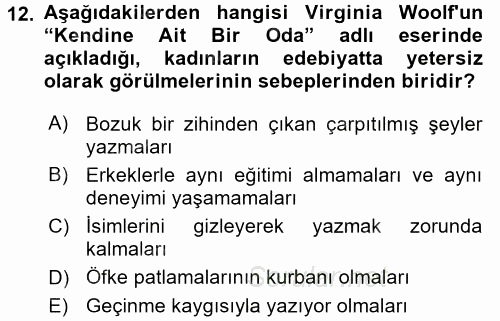 Toplumsal Cinsiyet Çalışmaları 2016 - 2017 Dönem Sonu Sınavı 12.Soru
