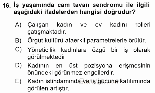 Toplumsal Cinsiyet Çalışmaları 2016 - 2017 Dönem Sonu Sınavı 16.Soru