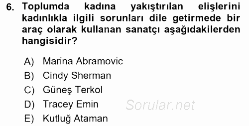 Toplumsal Cinsiyet Çalışmaları 2016 - 2017 Dönem Sonu Sınavı 6.Soru