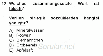 Almanca 1 2012 - 2013 Tek Ders Sınavı 12.Soru