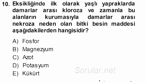 Fitopatoloji 2014 - 2015 Dönem Sonu Sınavı 10.Soru