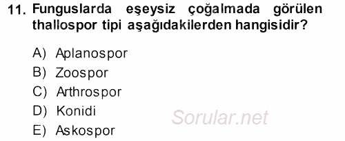 Fitopatoloji 2014 - 2015 Dönem Sonu Sınavı 11.Soru