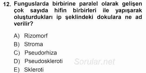 Fitopatoloji 2014 - 2015 Dönem Sonu Sınavı 12.Soru