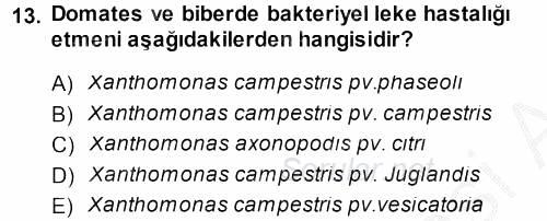 Fitopatoloji 2014 - 2015 Dönem Sonu Sınavı 13.Soru