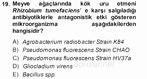 Fitopatoloji 2014 - 2015 Dönem Sonu Sınavı 19.Soru