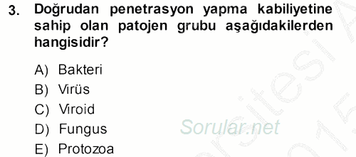 Fitopatoloji 2014 - 2015 Dönem Sonu Sınavı 3.Soru