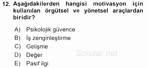 İş ve Yaşamda Motivasyon 2015 - 2016 Tek Ders Sınavı 12.Soru