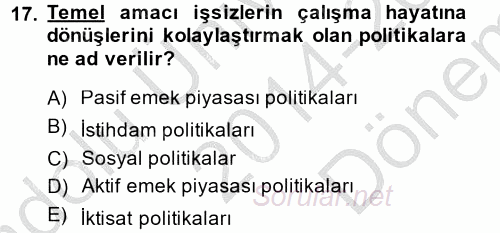 Çalışma Ekonomisi 2 2014 - 2015 Dönem Sonu Sınavı 17.Soru