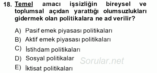 Çalışma Ekonomisi 2 2014 - 2015 Dönem Sonu Sınavı 18.Soru