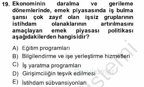 Çalışma Ekonomisi 2 2014 - 2015 Dönem Sonu Sınavı 19.Soru