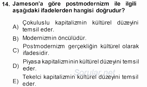 Çağdaş Sosyoloji Kuramları 2013 - 2014 Ara Sınavı 14.Soru