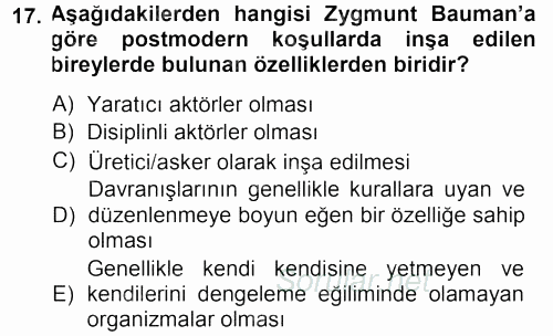 Çağdaş Sosyoloji Kuramları 2013 - 2014 Ara Sınavı 17.Soru