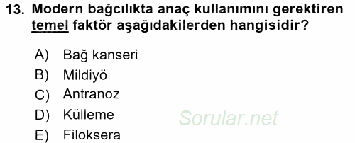 Bahçe Tarımı 2 2016 - 2017 Ara Sınavı 13.Soru