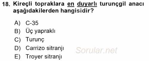 Bahçe Tarımı 2 2016 - 2017 Ara Sınavı 18.Soru