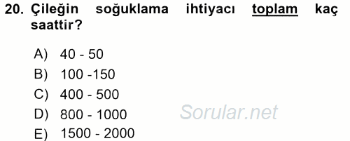 Bahçe Tarımı 2 2016 - 2017 Ara Sınavı 20.Soru