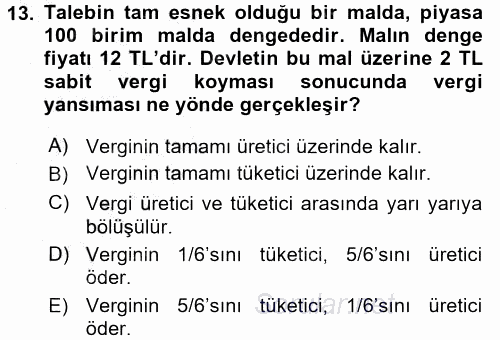 Vergi Teorisi 2016 - 2017 Ara Sınavı 13.Soru