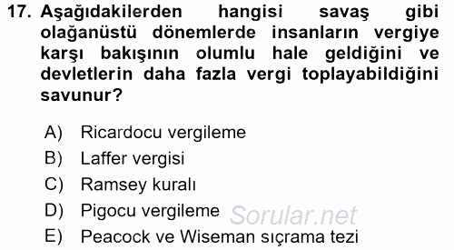 Vergi Teorisi 2016 - 2017 Ara Sınavı 17.Soru