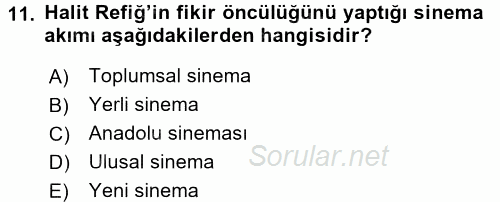 Film ve Video Kültürü 2016 - 2017 Ara Sınavı 11.Soru