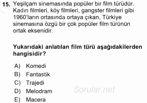 Film ve Video Kültürü 2016 - 2017 Ara Sınavı 15.Soru