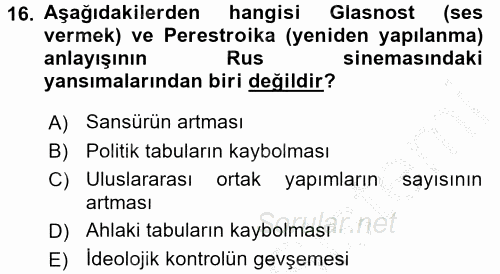 Film ve Video Kültürü 2016 - 2017 Ara Sınavı 16.Soru