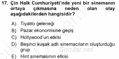 Film ve Video Kültürü 2016 - 2017 Ara Sınavı 17.Soru