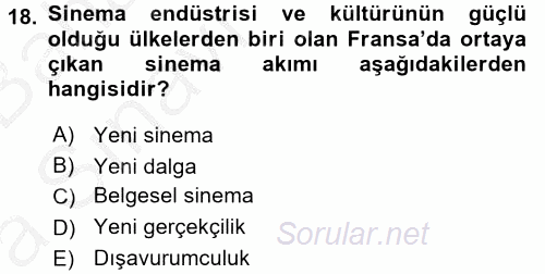 Film ve Video Kültürü 2016 - 2017 Ara Sınavı 18.Soru