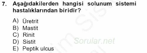 Temel Sağlık Hizmetleri 2014 - 2015 Ara Sınavı 7.Soru