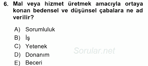 Örgütlerde İnsan Kaynakları Yönetimi 2015 - 2016 Ara Sınavı 6.Soru