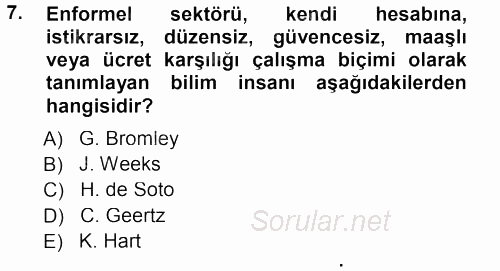 Ekonomi Sosyolojisi 2013 - 2014 Tek Ders Sınavı 7.Soru