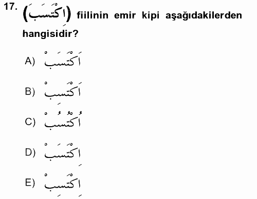 Arapça 2 2017 - 2018 3 Ders Sınavı 17.Soru