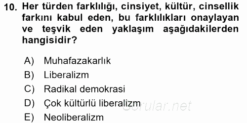 Toplumsal Tabakalaşma ve Eşitsizlik 2017 - 2018 3 Ders Sınavı 10.Soru