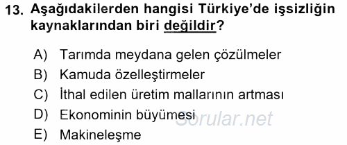 Toplumsal Tabakalaşma ve Eşitsizlik 2017 - 2018 3 Ders Sınavı 13.Soru