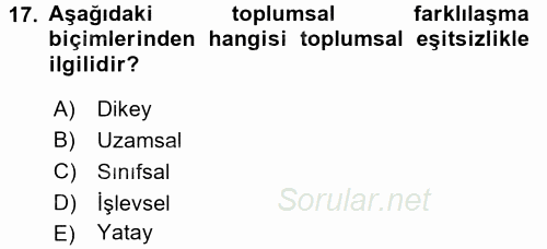 Toplumsal Tabakalaşma ve Eşitsizlik 2017 - 2018 3 Ders Sınavı 17.Soru