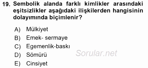 Toplumsal Tabakalaşma ve Eşitsizlik 2017 - 2018 3 Ders Sınavı 19.Soru