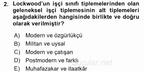 Toplumsal Tabakalaşma ve Eşitsizlik 2017 - 2018 3 Ders Sınavı 2.Soru