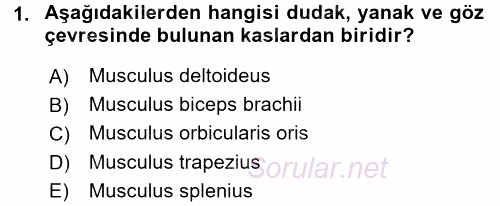 Temel Veteriner Anatomi 2015 - 2016 Dönem Sonu Sınavı 1.Soru