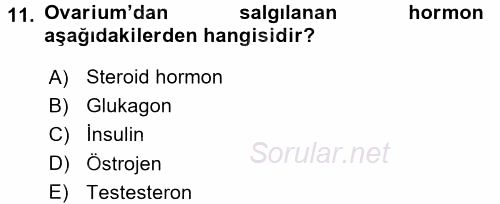 Temel Veteriner Anatomi 2015 - 2016 Dönem Sonu Sınavı 11.Soru