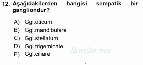 Temel Veteriner Anatomi 2015 - 2016 Dönem Sonu Sınavı 12.Soru