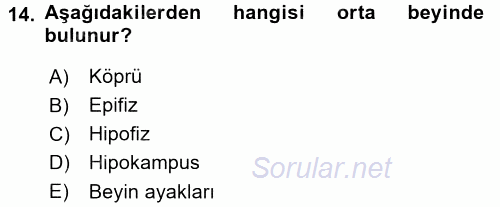 Temel Veteriner Anatomi 2015 - 2016 Dönem Sonu Sınavı 14.Soru