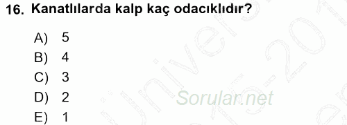 Temel Veteriner Anatomi 2015 - 2016 Dönem Sonu Sınavı 16.Soru