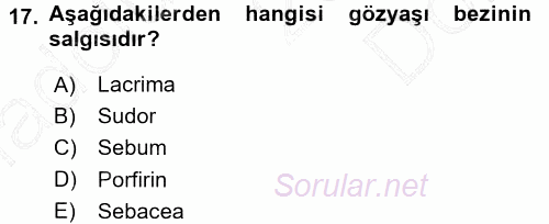 Temel Veteriner Anatomi 2015 - 2016 Dönem Sonu Sınavı 17.Soru