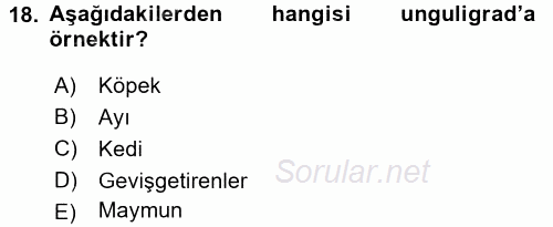 Temel Veteriner Anatomi 2015 - 2016 Dönem Sonu Sınavı 18.Soru