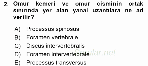 Temel Veteriner Anatomi 2015 - 2016 Dönem Sonu Sınavı 2.Soru