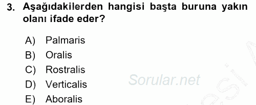 Temel Veteriner Anatomi 2015 - 2016 Dönem Sonu Sınavı 3.Soru